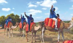 Excursions et visites organisées
