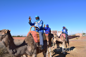 Les participants de la formation Gestion administrative et fiduciaire des projets et programmes à dos de chameaux (GAFFH12115PM)
