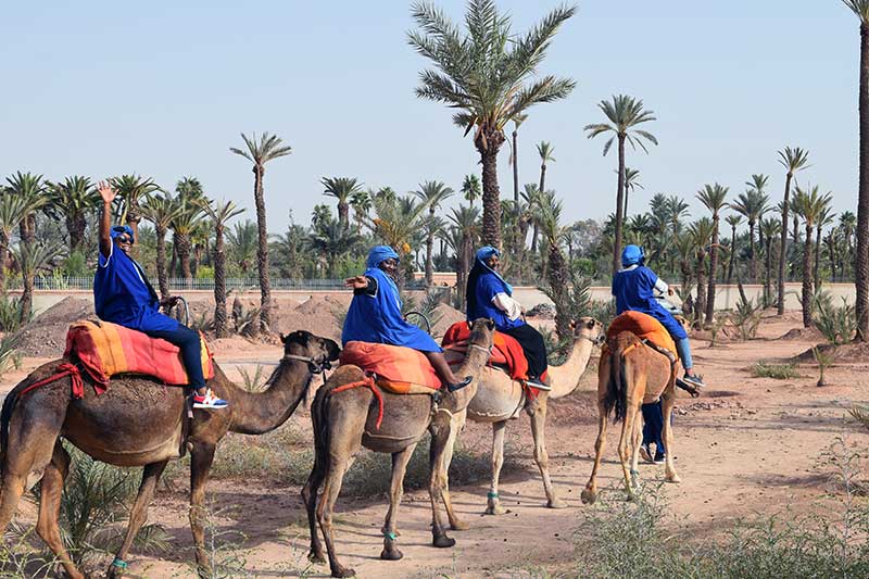 Les participants du séminaire sur mesure à dos de cheval au Maroc par une superbe journée ensoleillée.