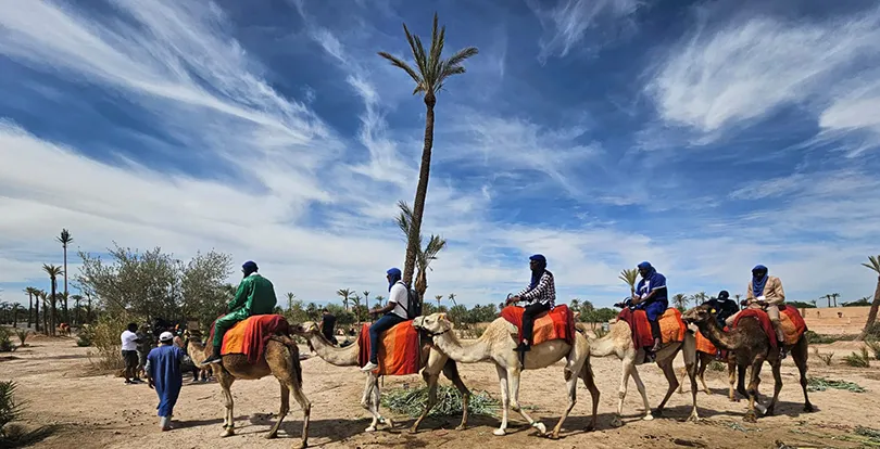 Marrakech